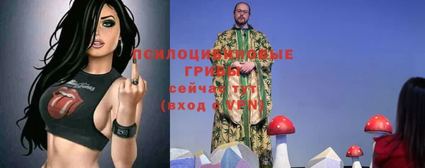 молекула духа Армянск