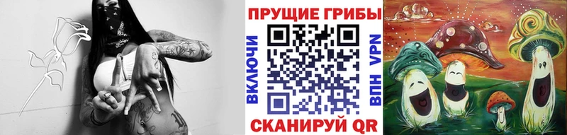 Псилоцибиновые грибы Cubensis  Полярный 